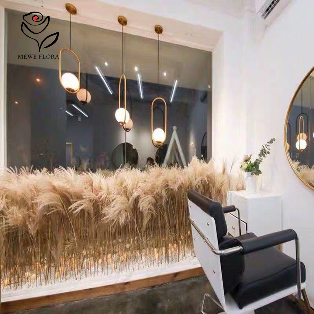 200PCS Natural Dried Fluffy Re - đánh giá và giá Luxury Lifestyle Items