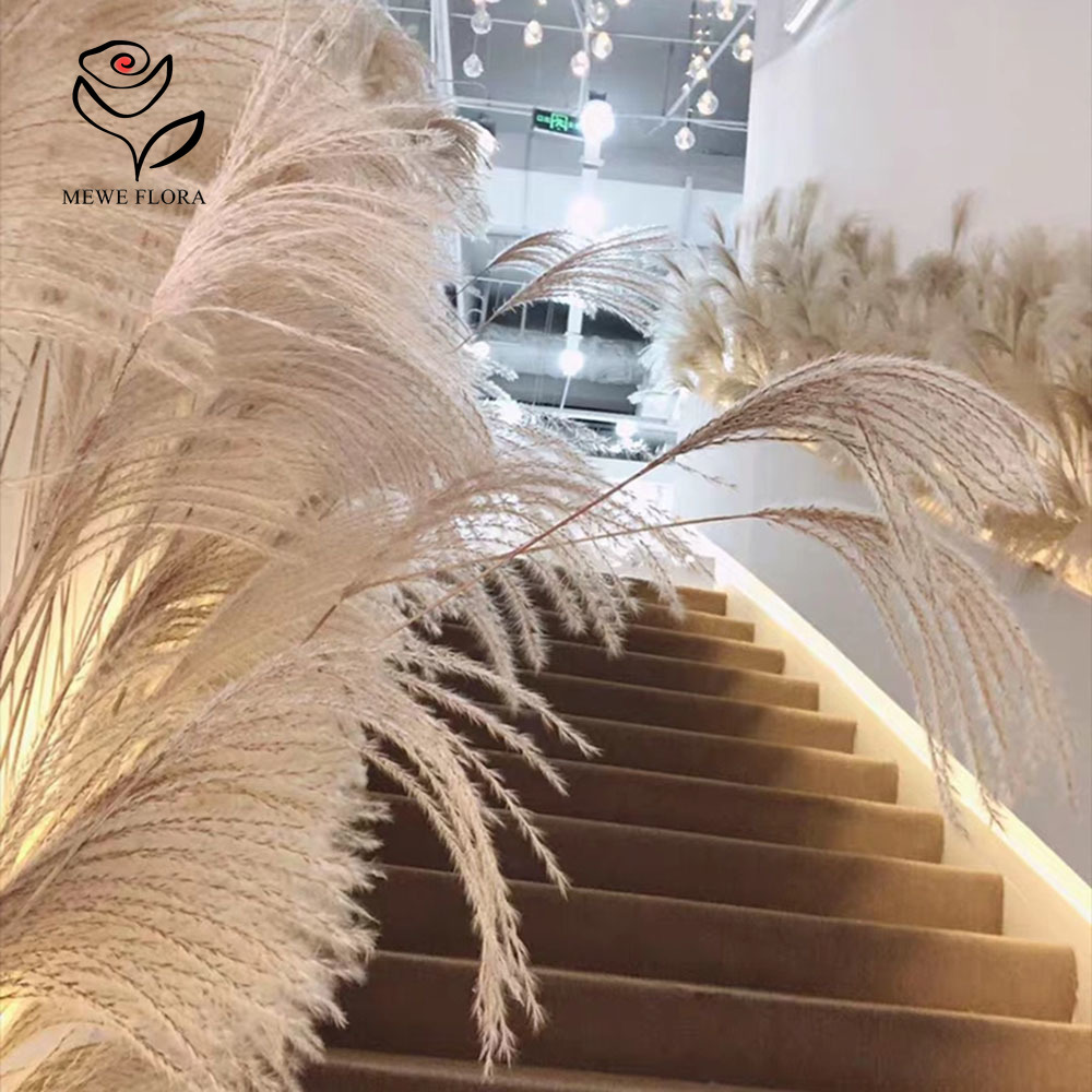 200PCS Natural Dried Fluffy Re - đánh giá và giá Luxury Lifestyle Items