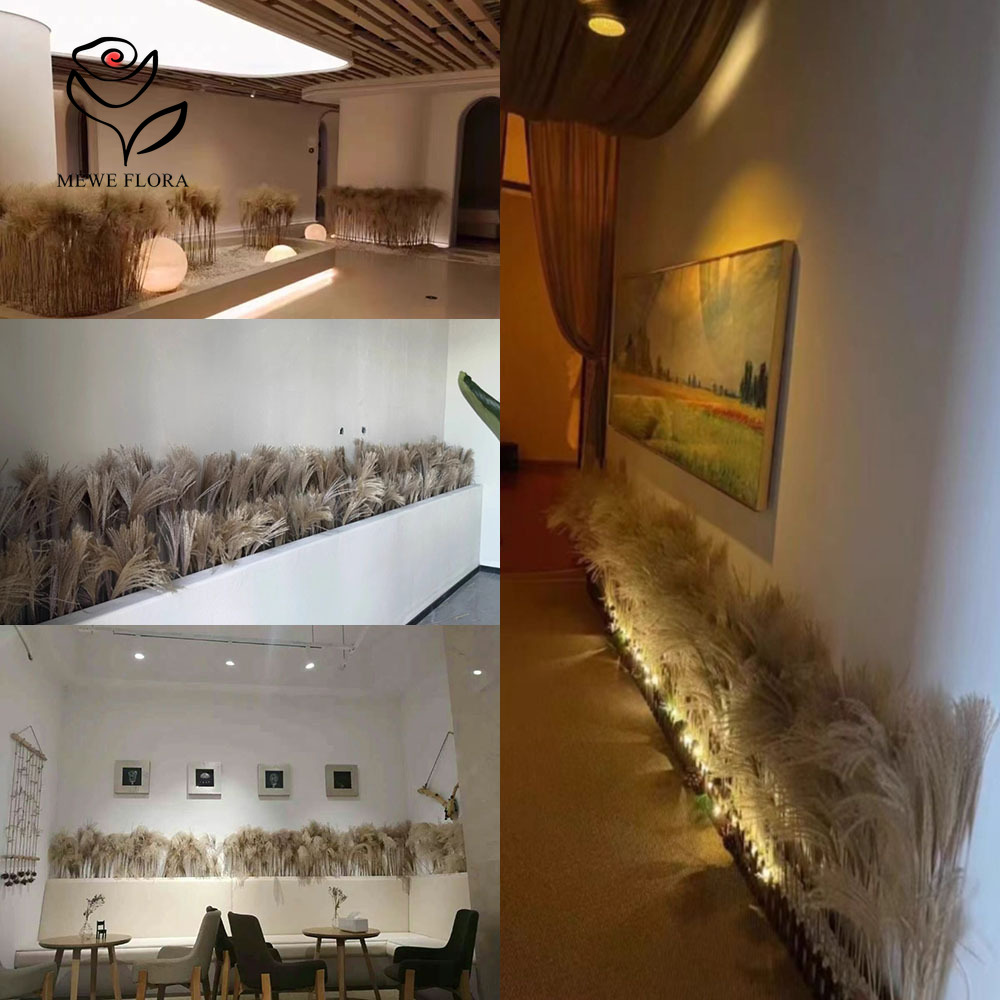 200PCS Natural Dried Fluffy Re - đánh giá và giá Luxury Lifestyle Items